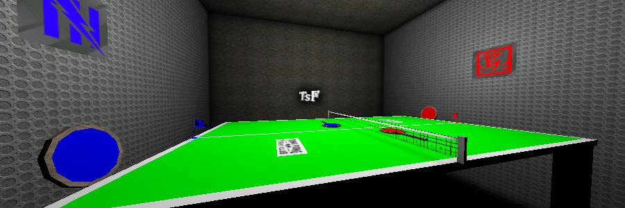 CTF-[TsF]-PingPong